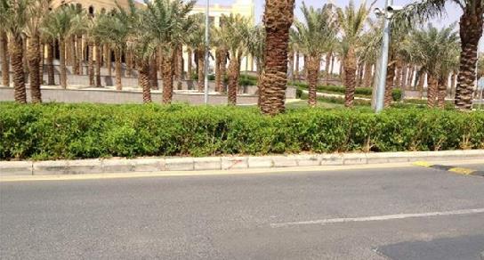 Landscape & hardscape